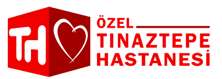 tinaztepe